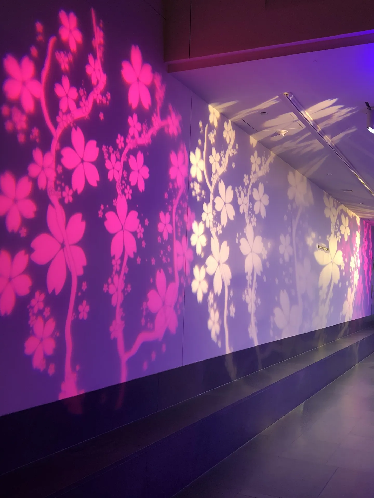 LITM Experiences gallery photo