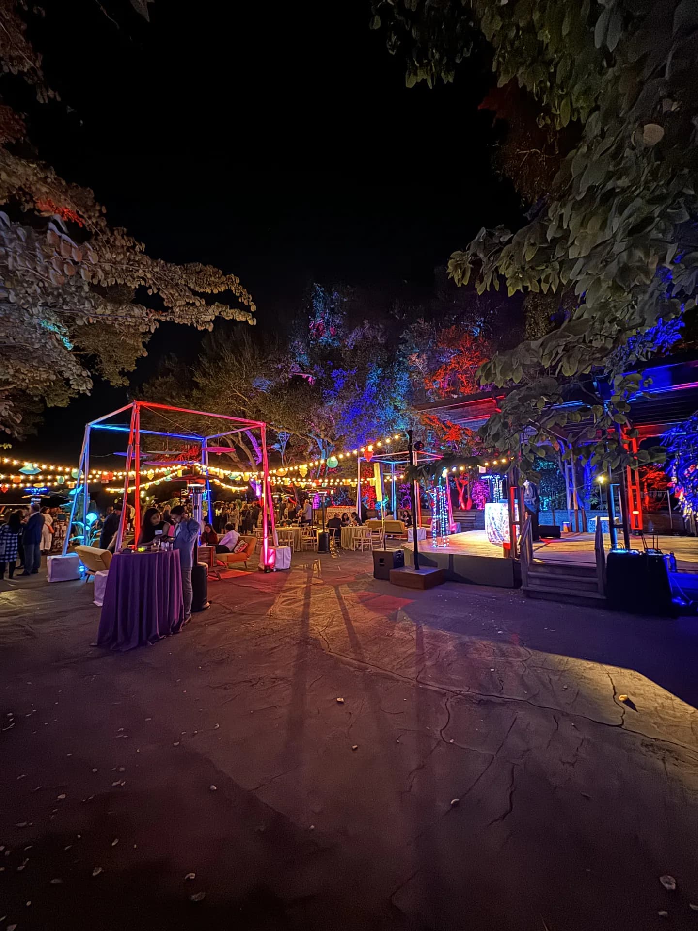 LITM Experiences gallery photo