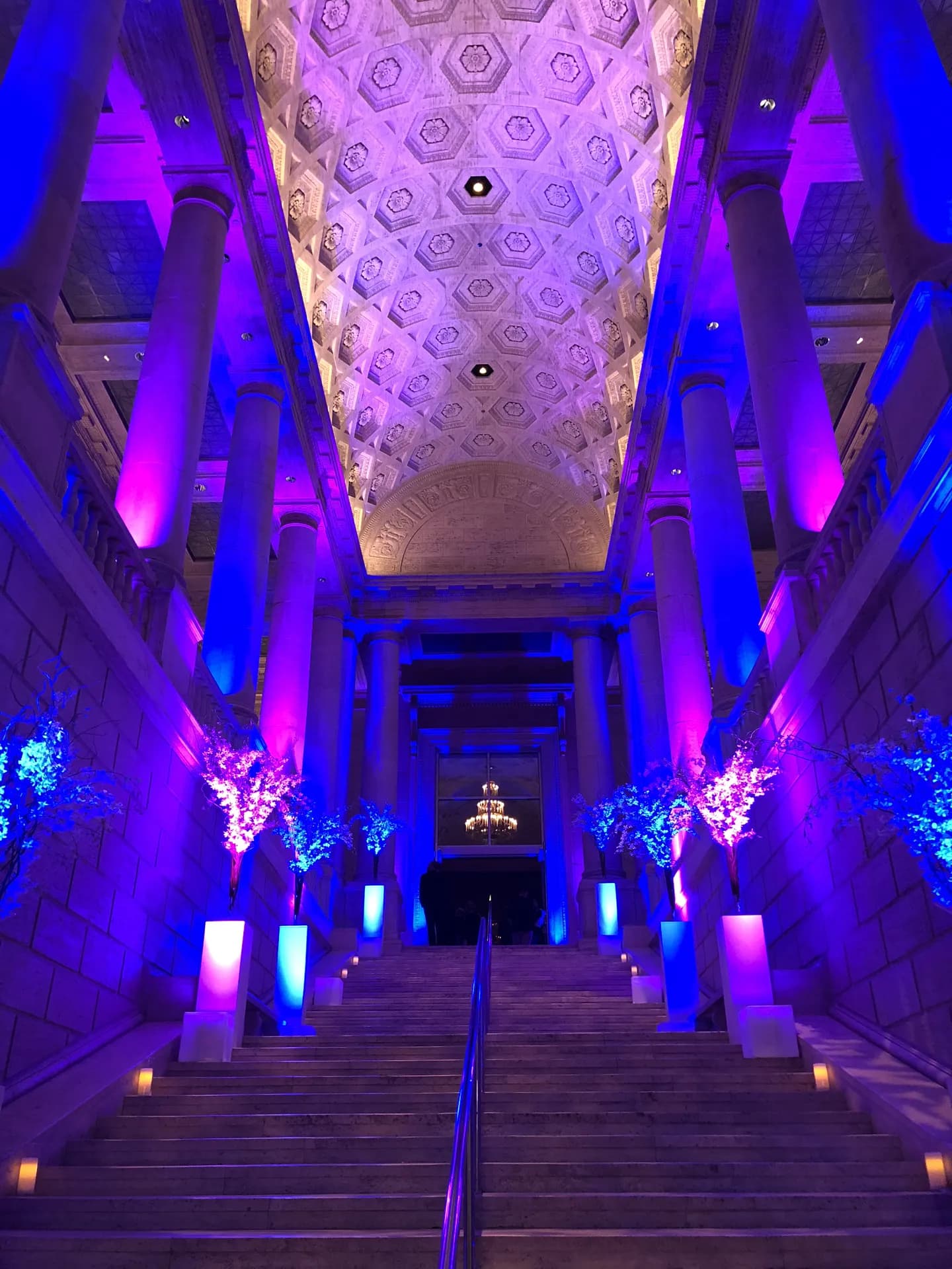 LITM Experiences gallery photo