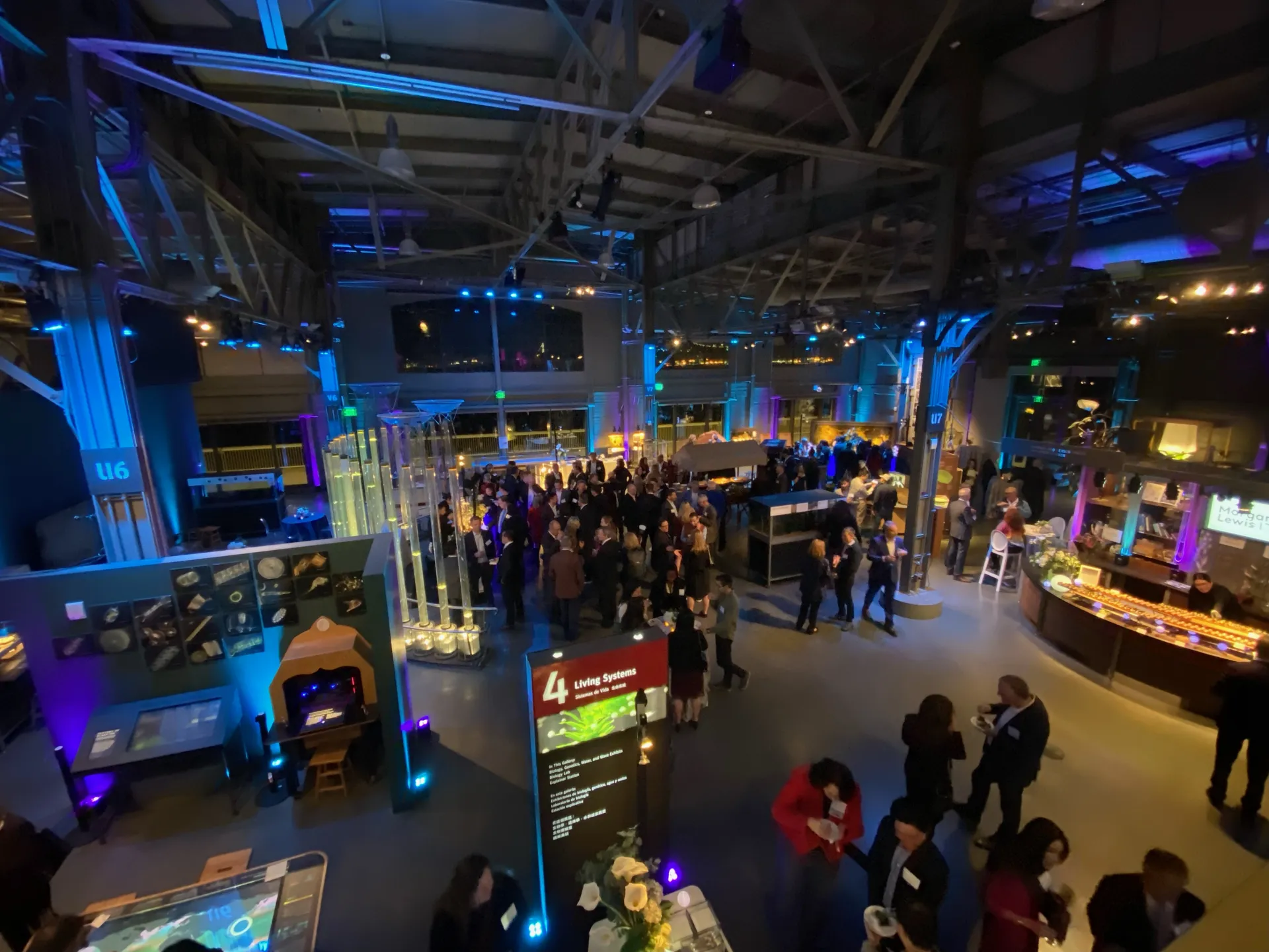 LITM Experiences gallery photo