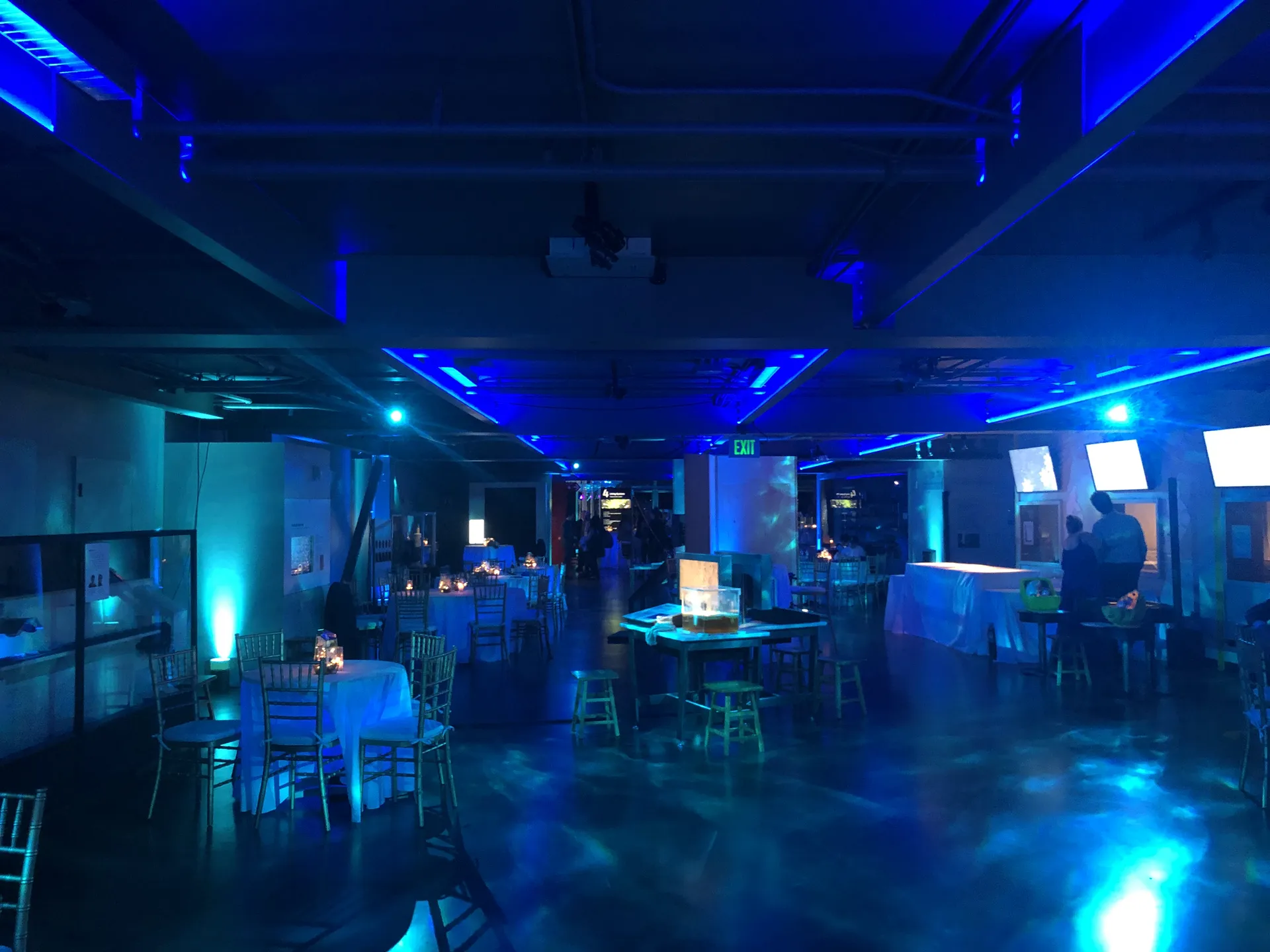LITM Experiences gallery photo