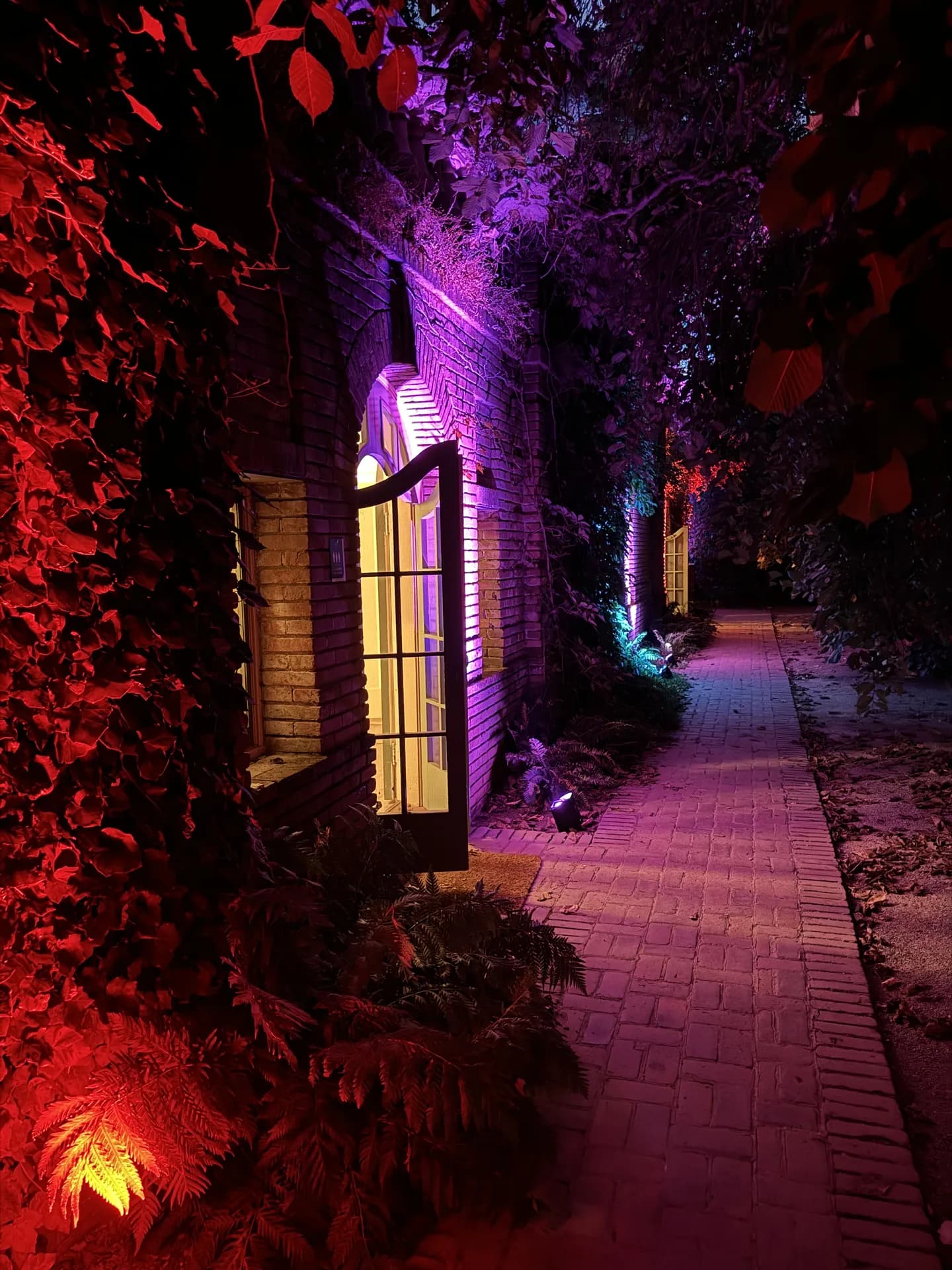 LITM Experiences gallery photo