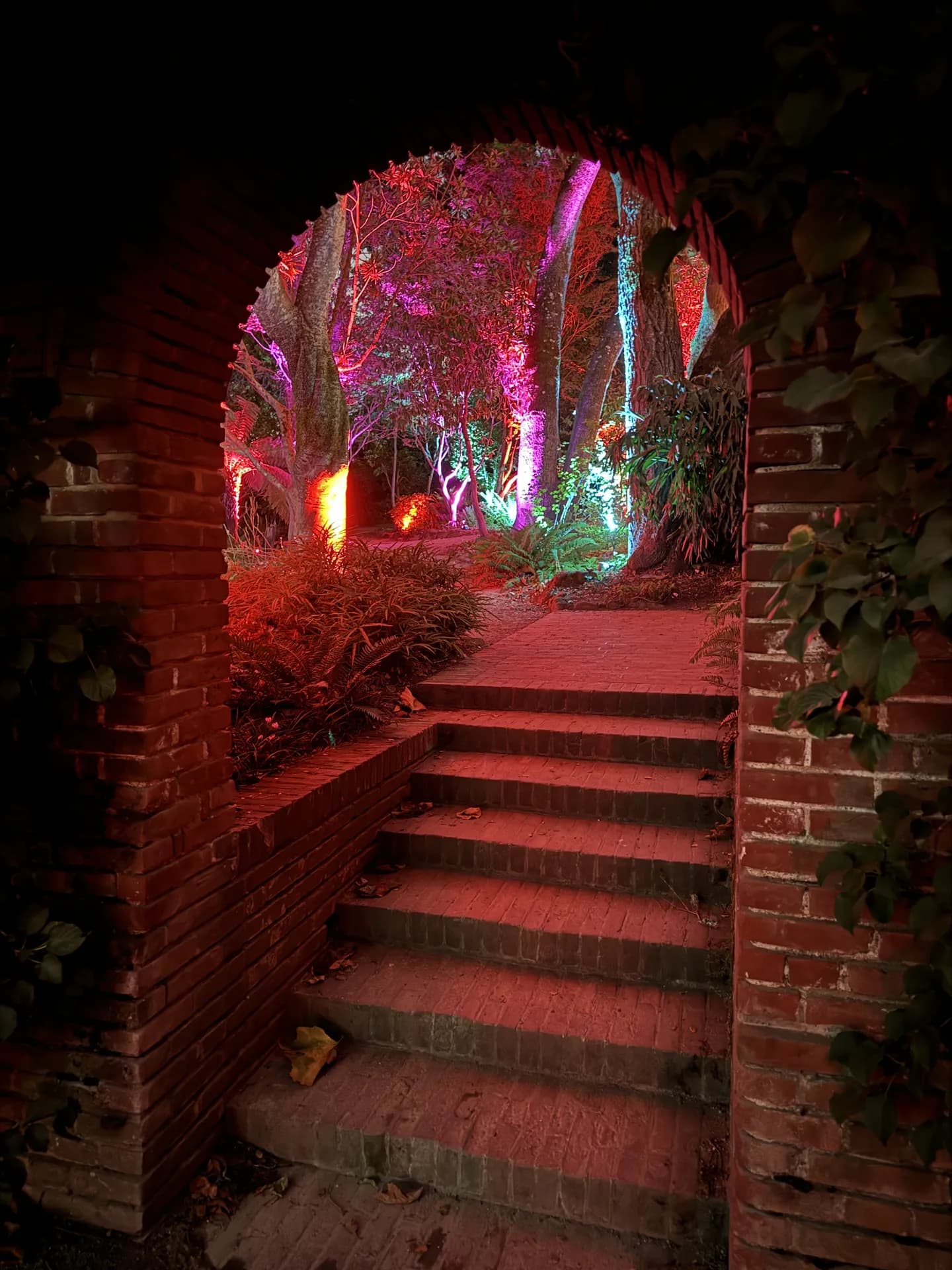 LITM Experiences gallery photo