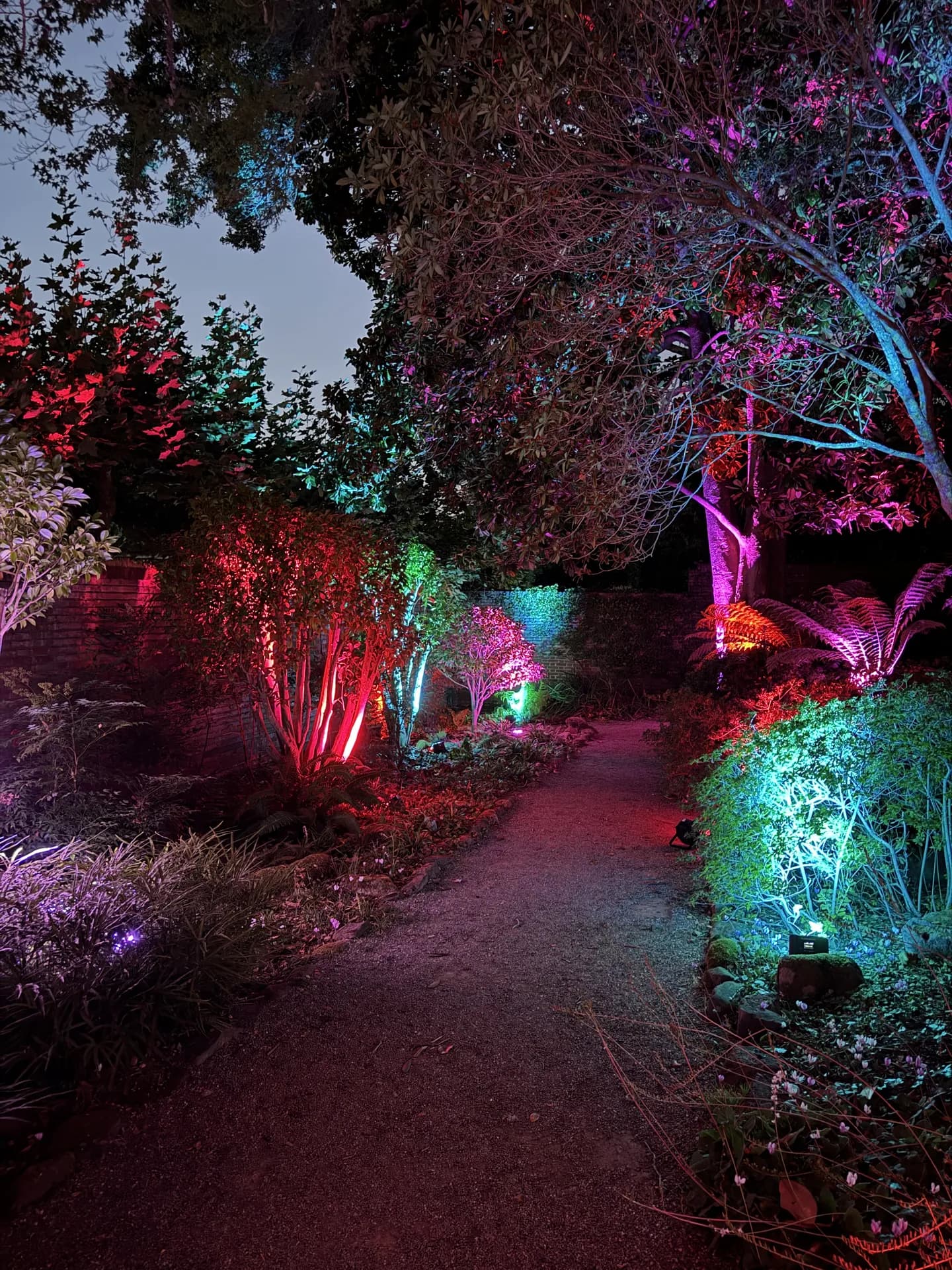 LITM Experiences gallery photo