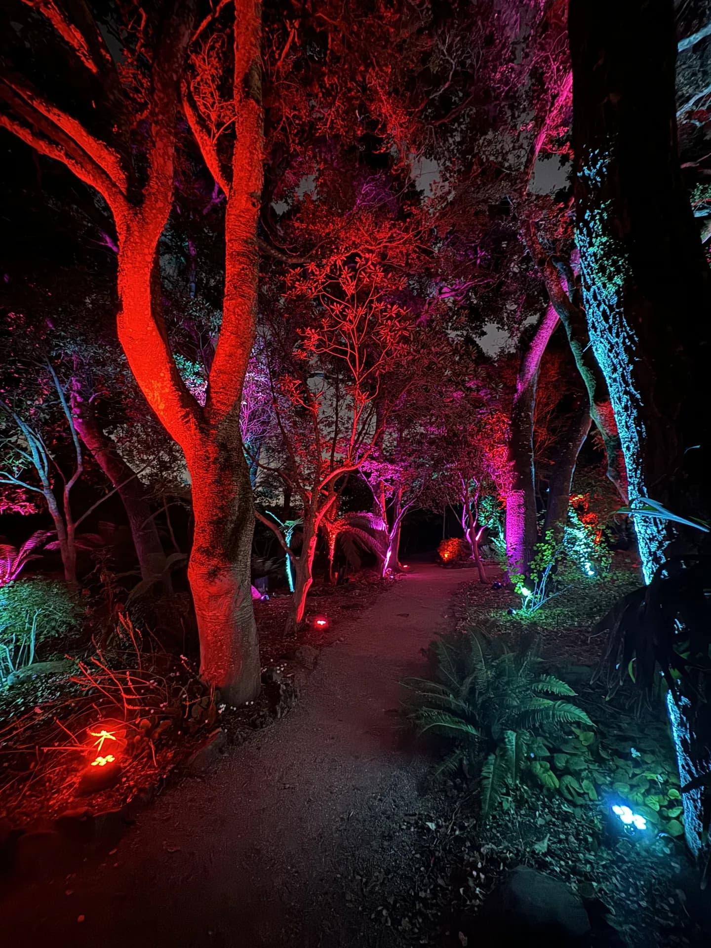 LITM Experiences gallery photo