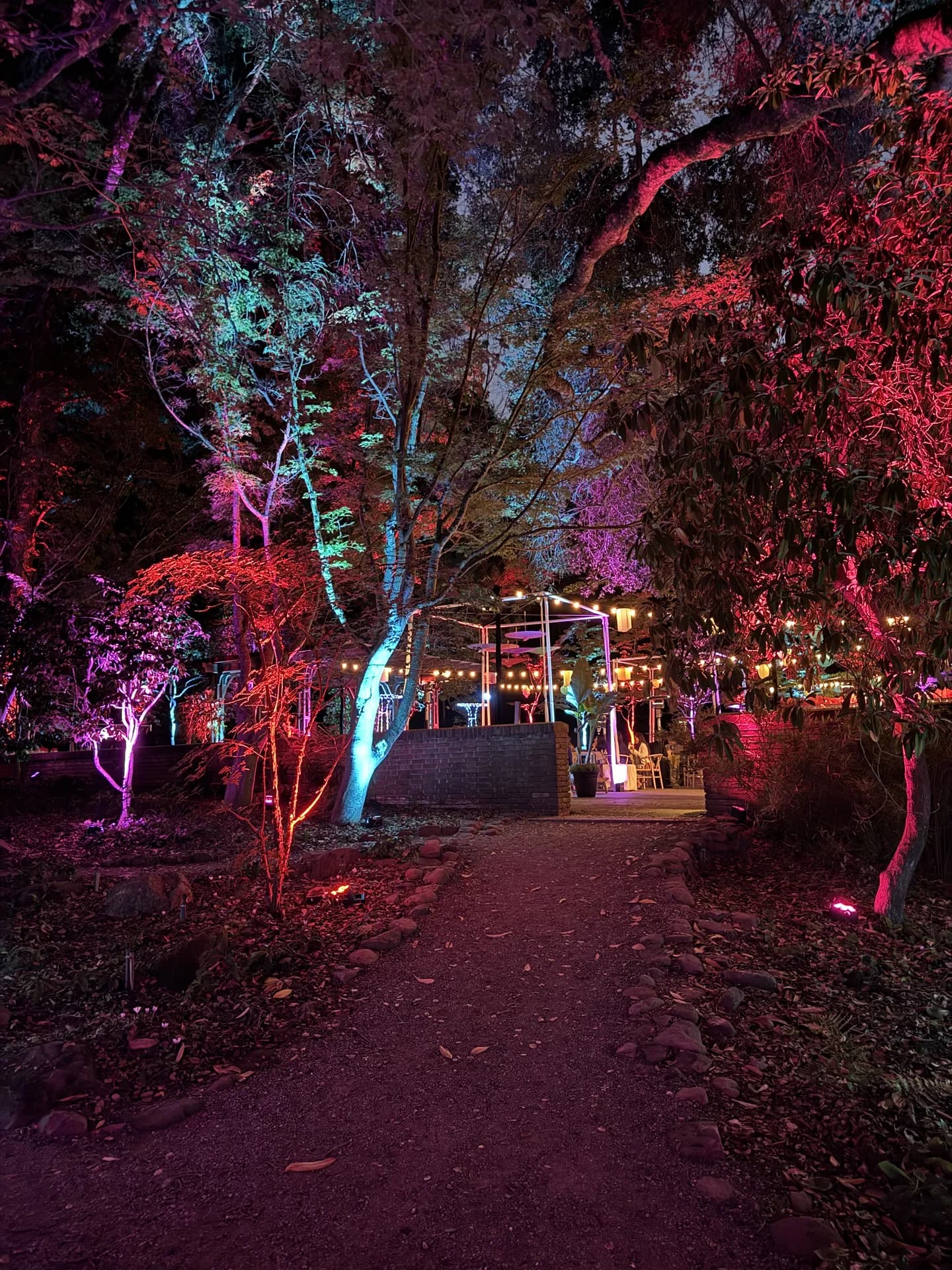 LITM Experiences gallery photo