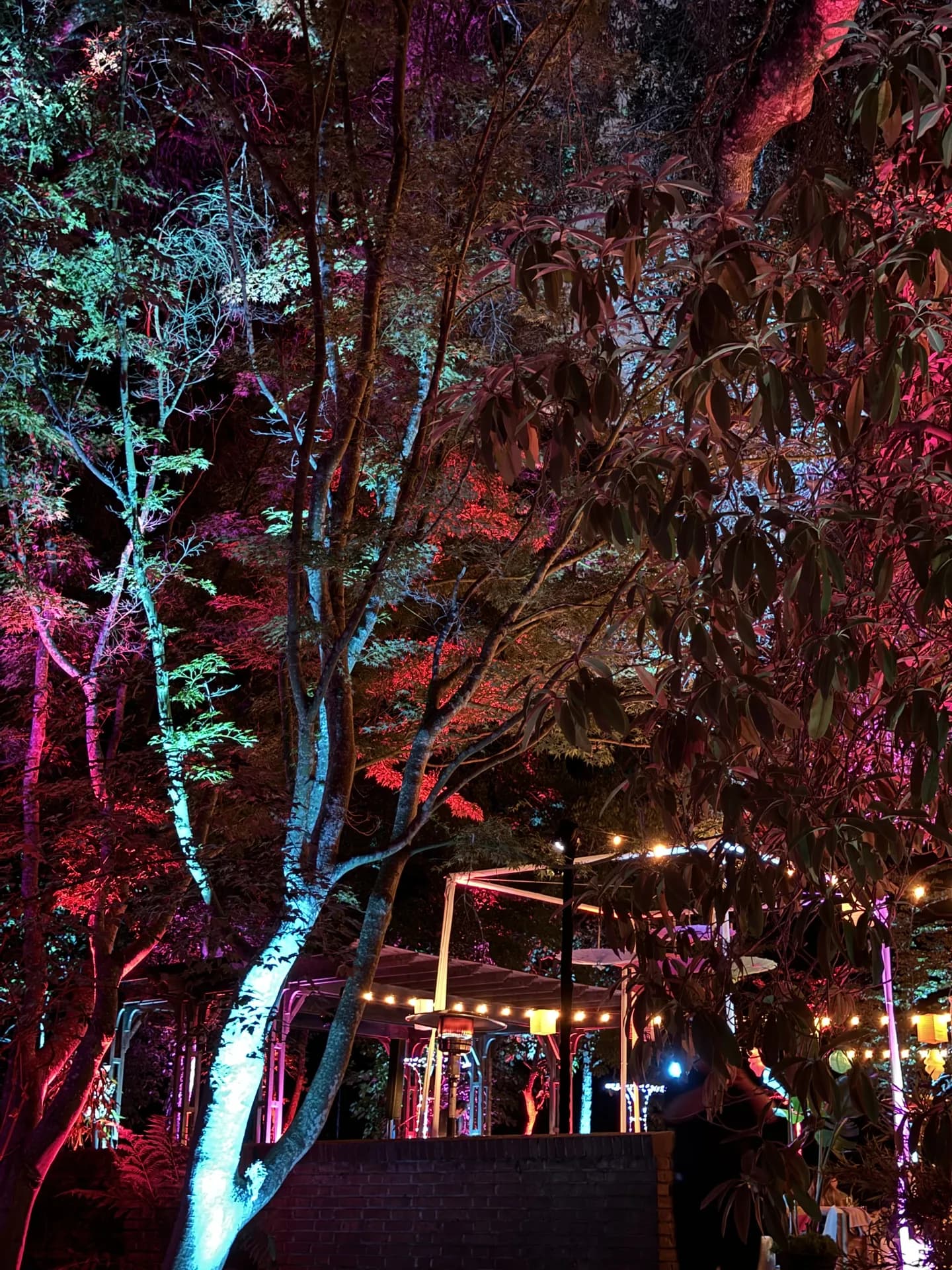 LITM Experiences gallery photo