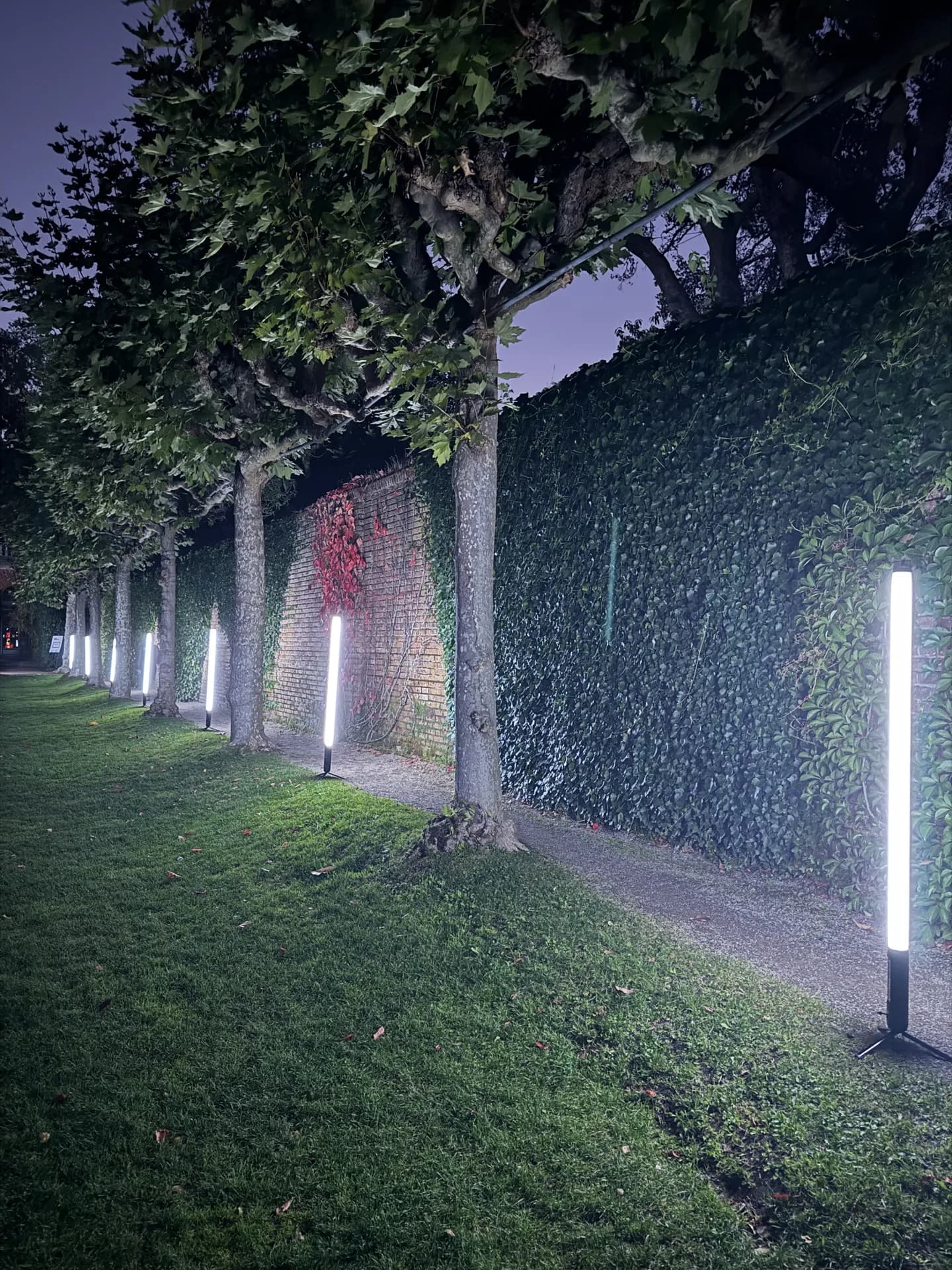 LITM Experiences gallery photo