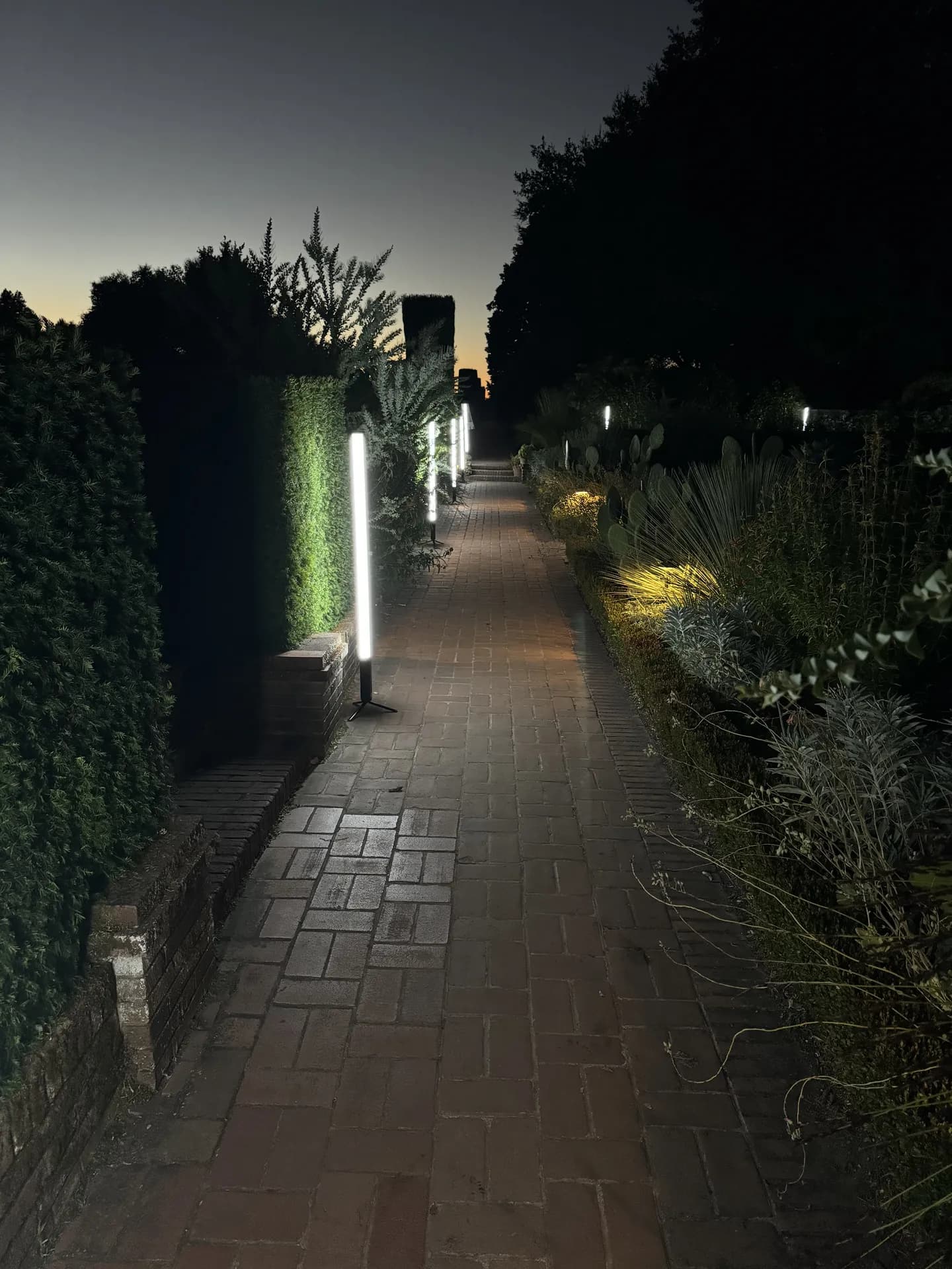 LITM Experiences gallery photo