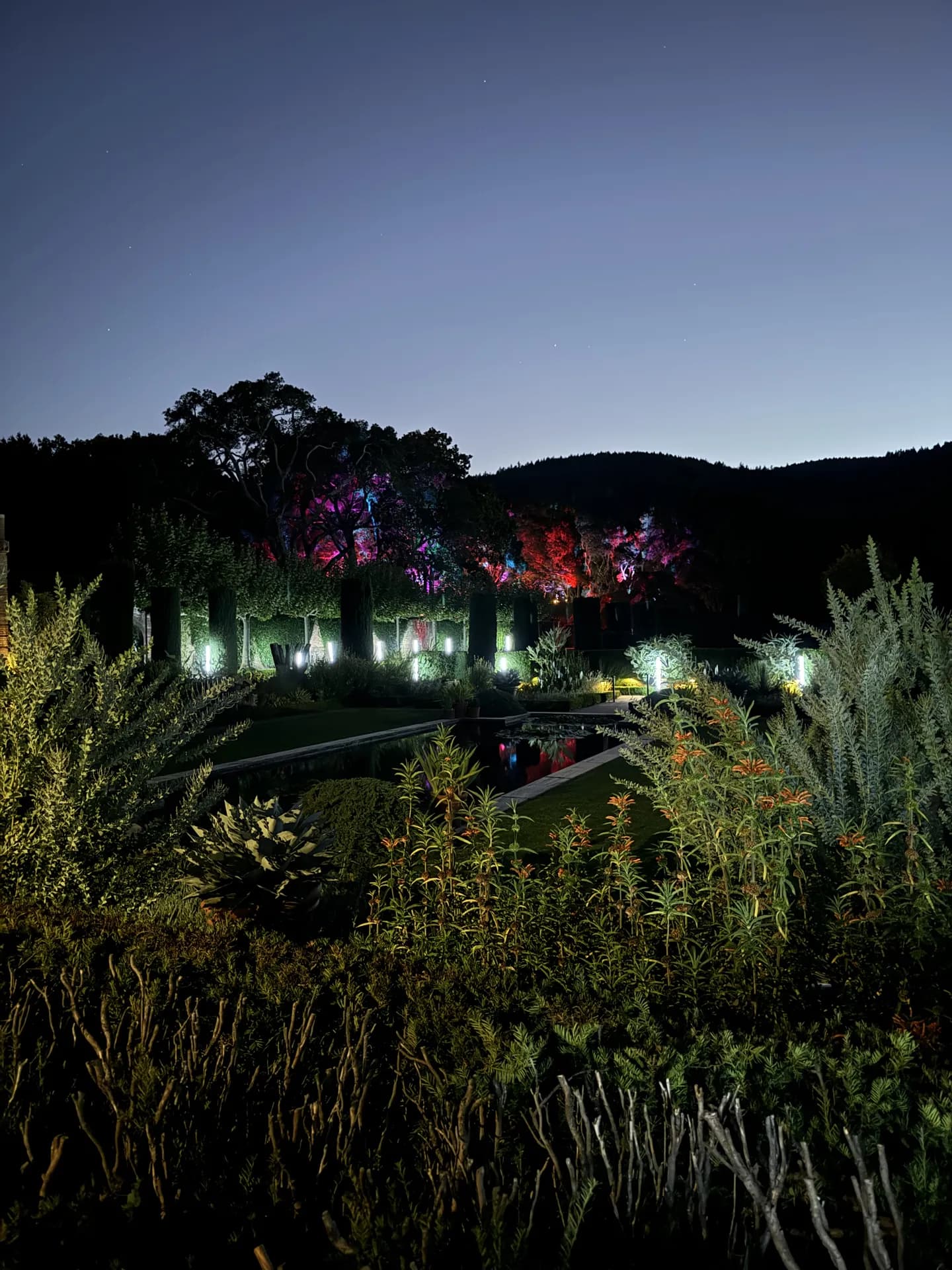 LITM Experiences gallery photo