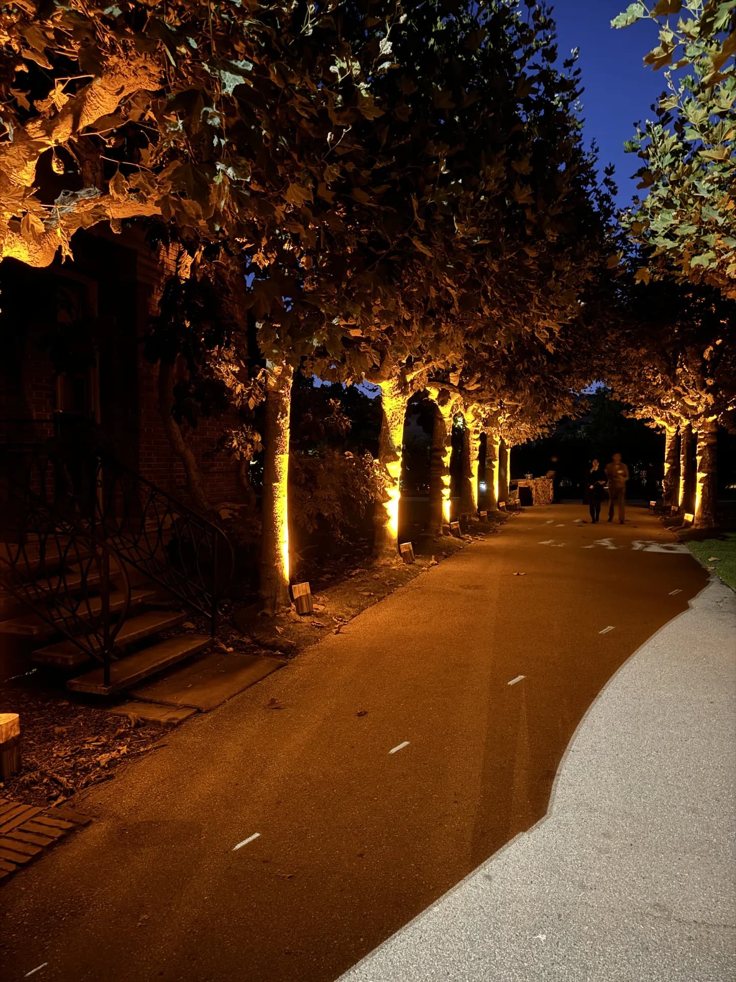 LITM Experiences gallery photo