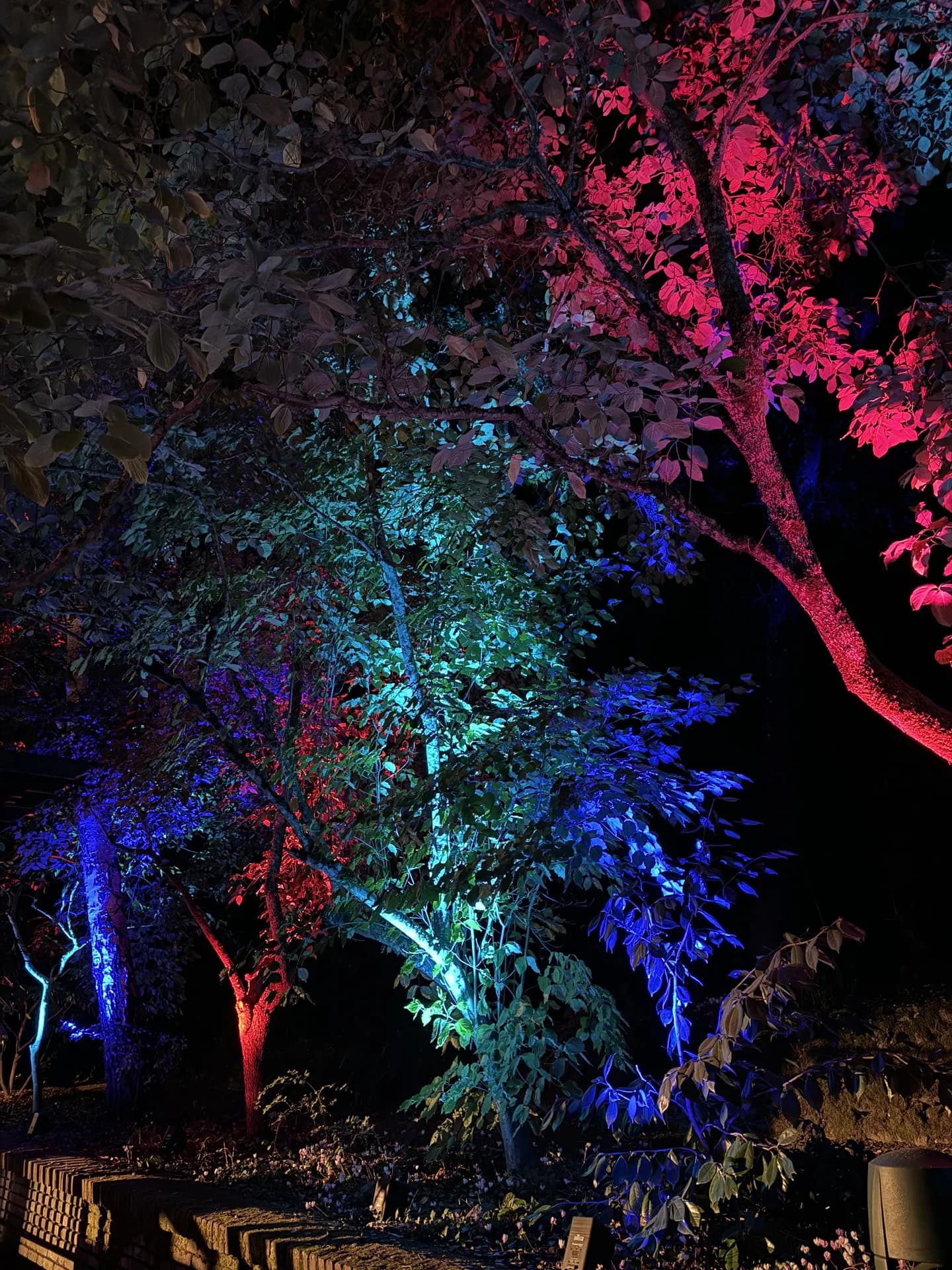 LITM Experiences gallery photo