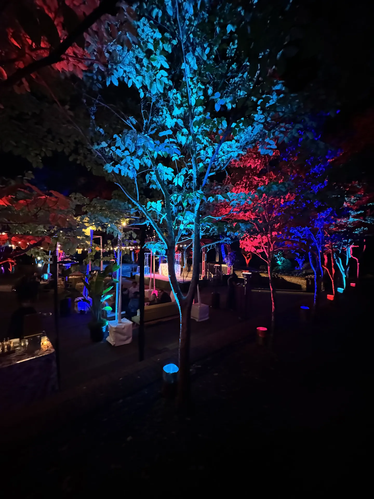 LITM Experiences gallery photo